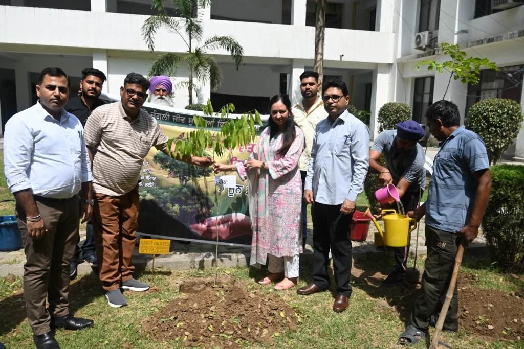 Additional Deputy Commissioners planted saplings on the occasion of World Environment Day